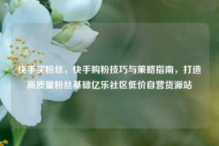 快手买粉丝，快手购粉技巧与策略指南，打造高质量粉丝基础亿乐社区低价自营货源站