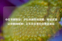 小红书刷粉丝，小红书刷粉丝攻略，秘密武器让你瞬间涨粉！亿乐社区低价自营货源站